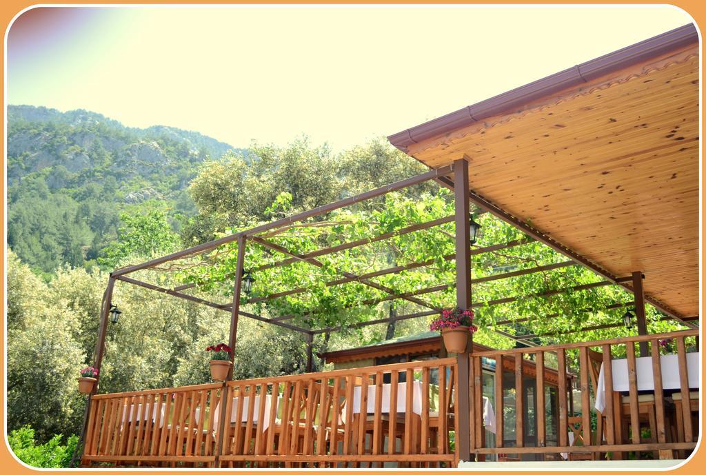 Misafir Evi Фаралия